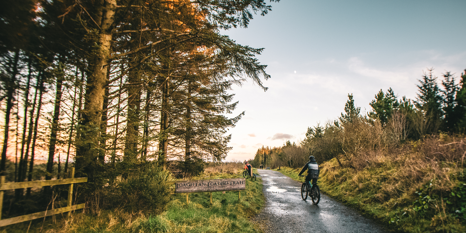 Mountain biking in a forest on the Isle of Man